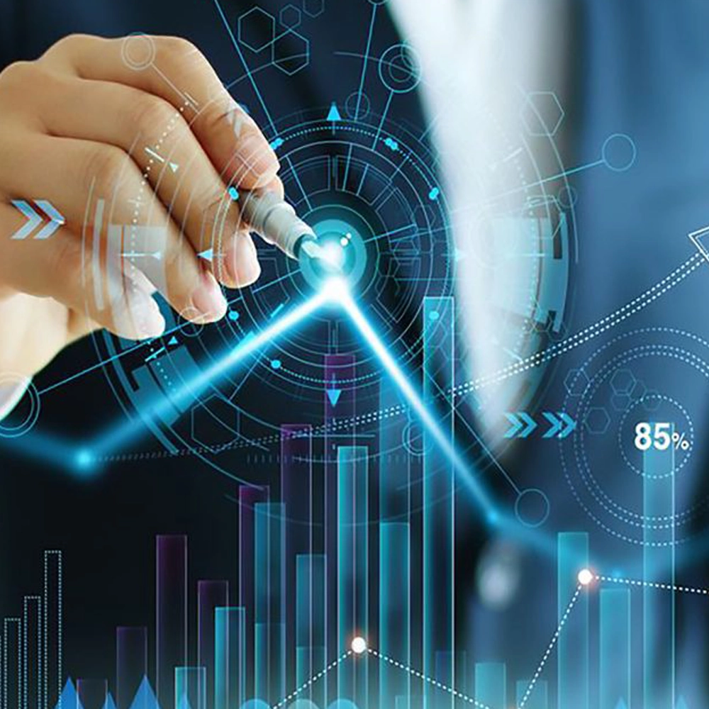 Microfinance Management System